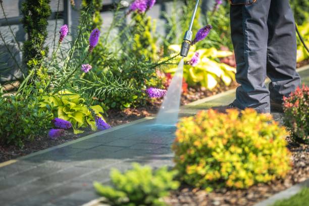 Best Fence Cleaning and Maintenance in Fox Farm College, WY